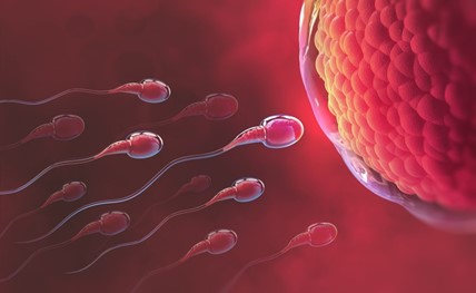 Infertility is the Inability to Conceive a Child