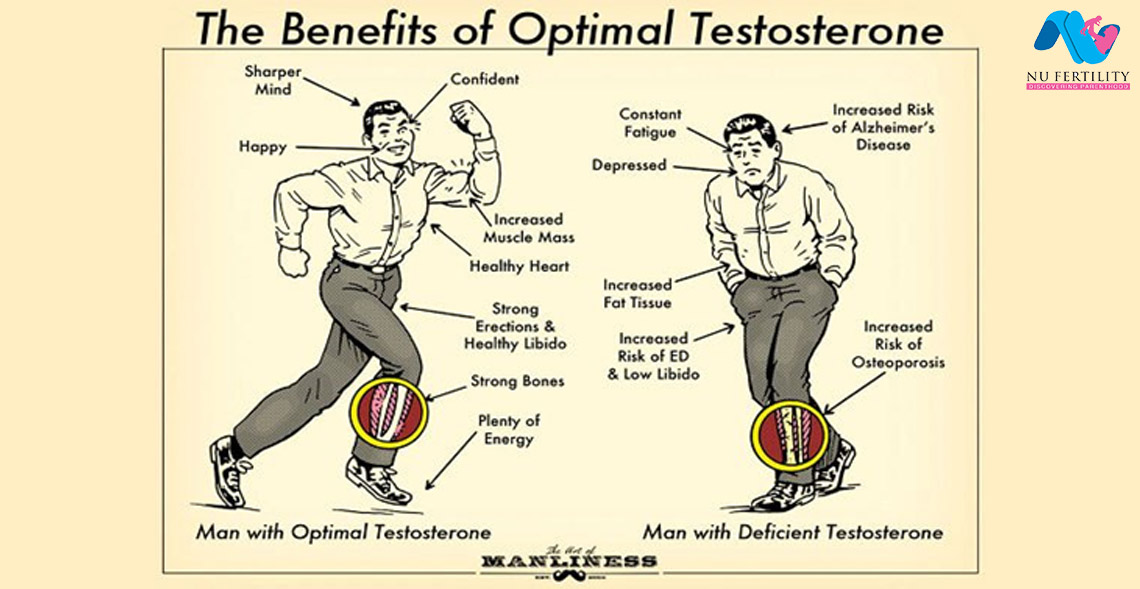 Low Testosterone is Correlated With the Effects of Aging